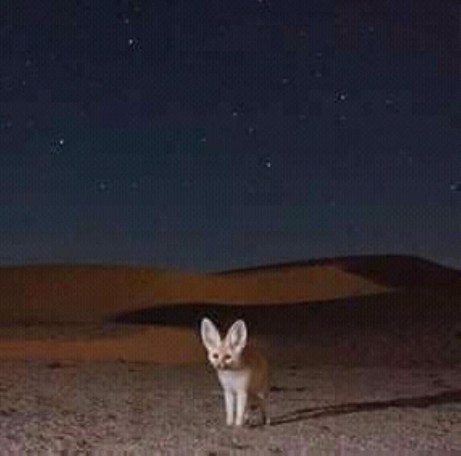 Restcamp Ergchebbi Merzouga Exterior foto